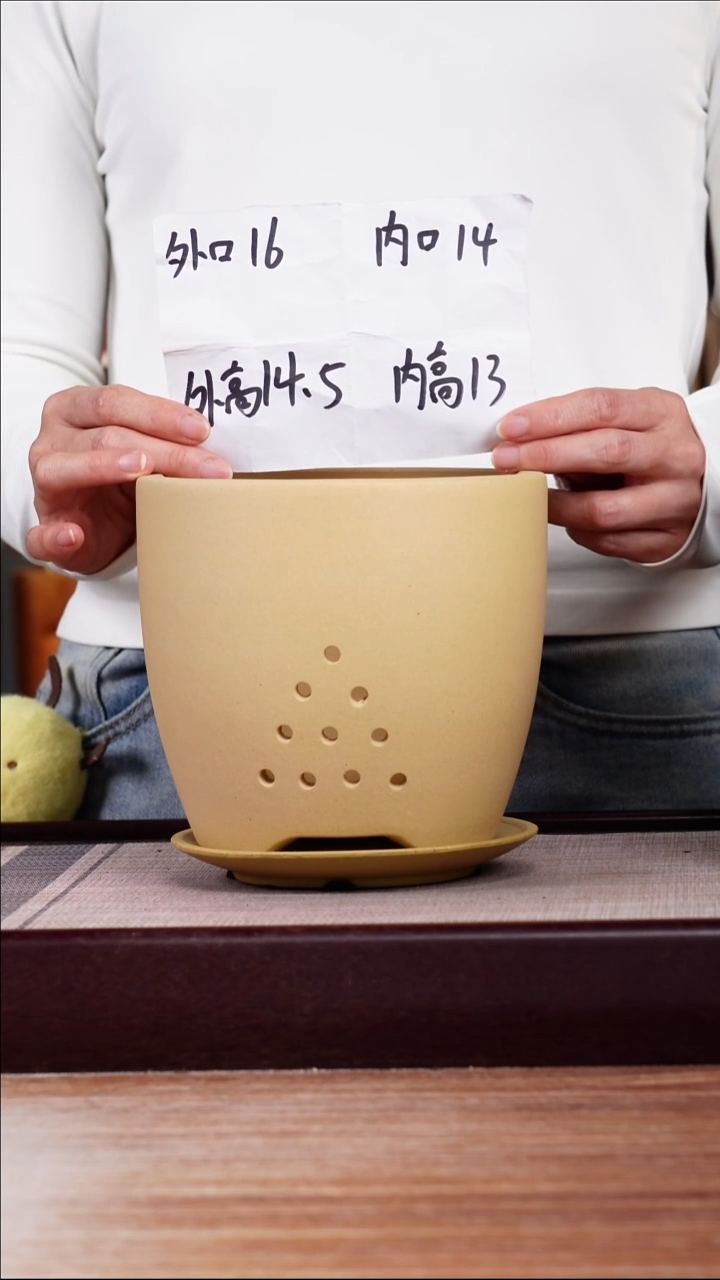 紫砂花盆段泥素面君子兰2号一只带托