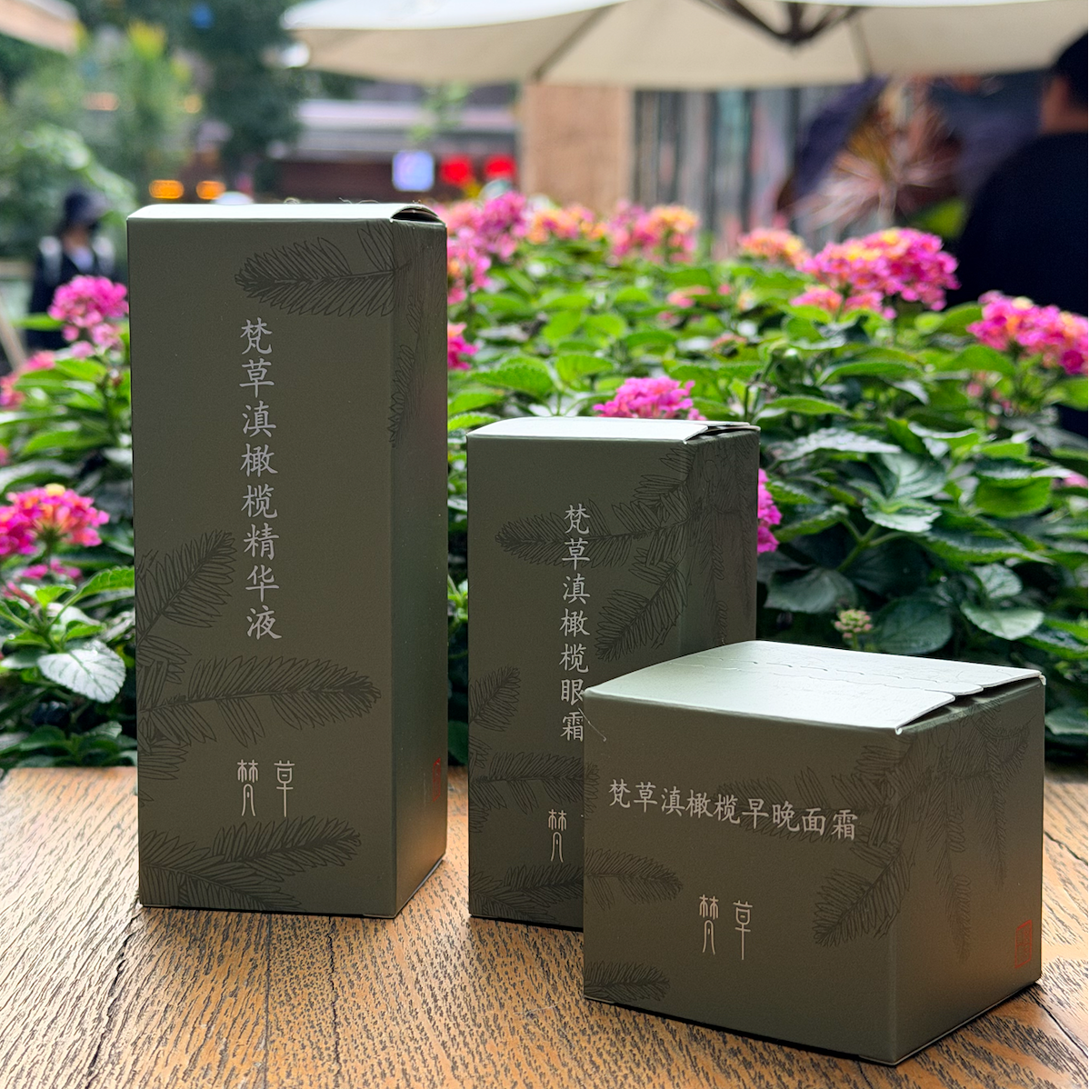 梵草滇橄榄套装 精华液 眼霜 面霜补水保湿