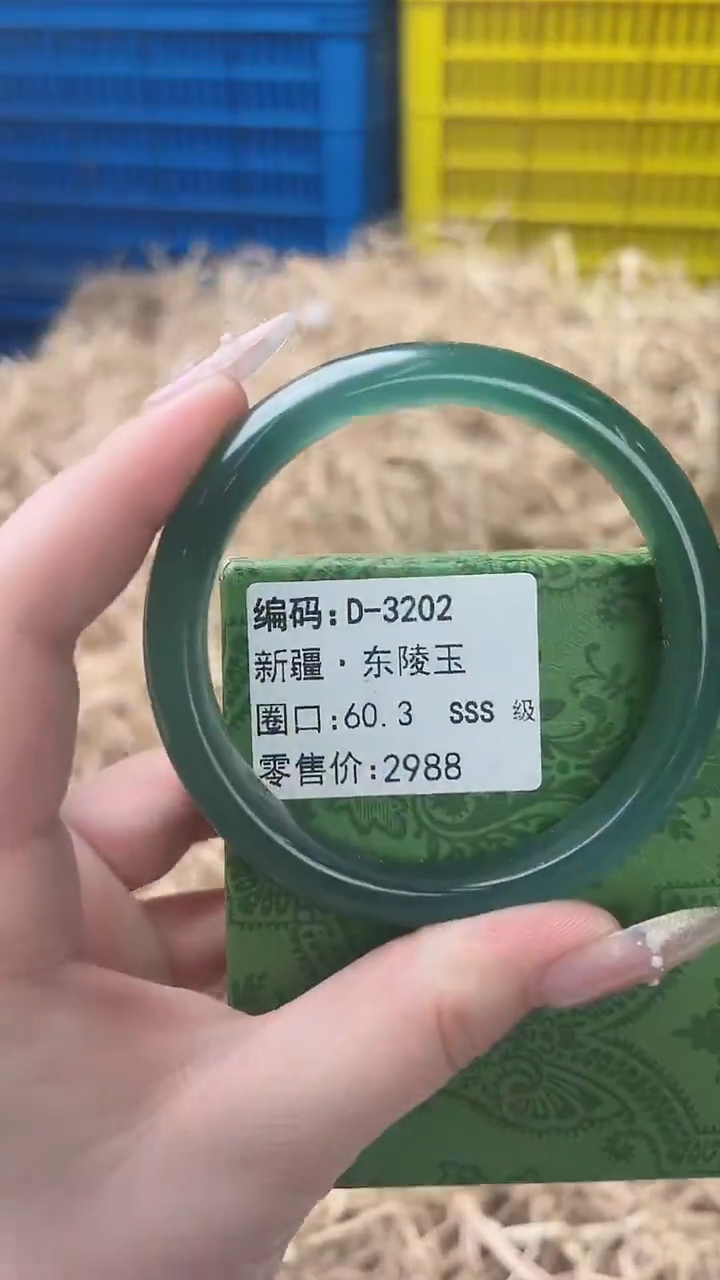 未镶嵌手镯石英质玉D-3202