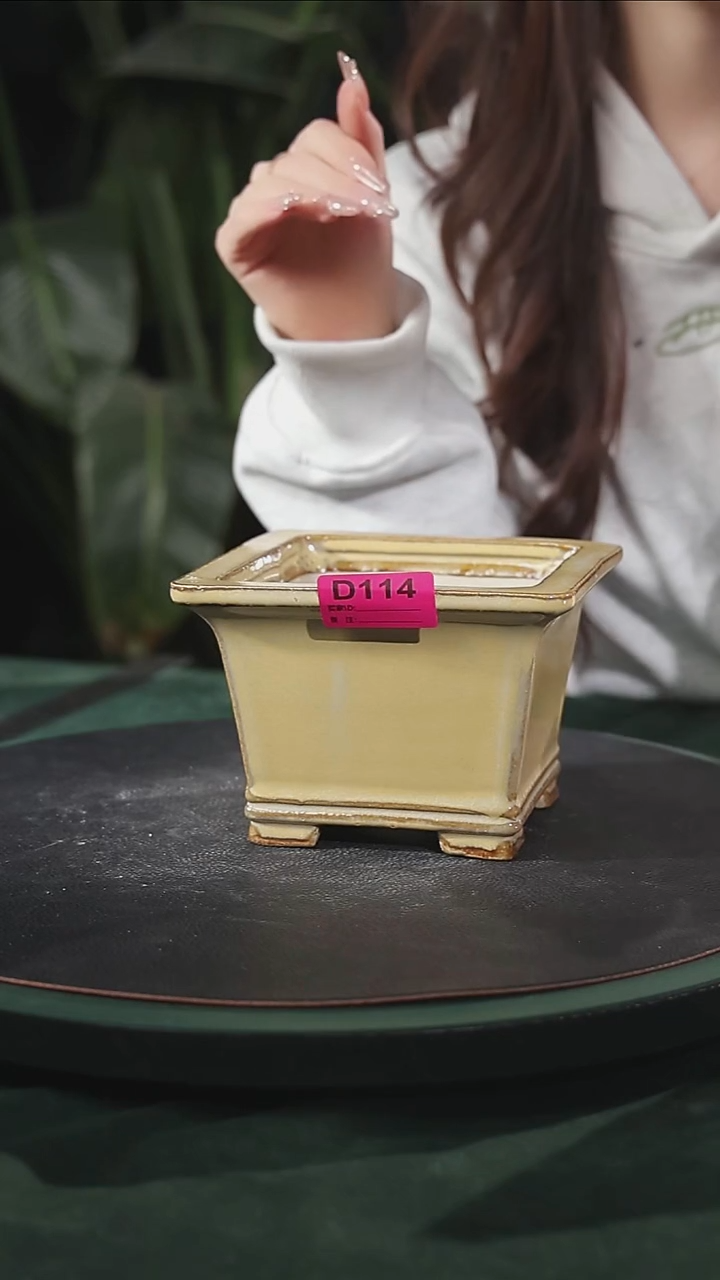 【石湾花盆】5.5寸双线飘口兰盆微瑕114