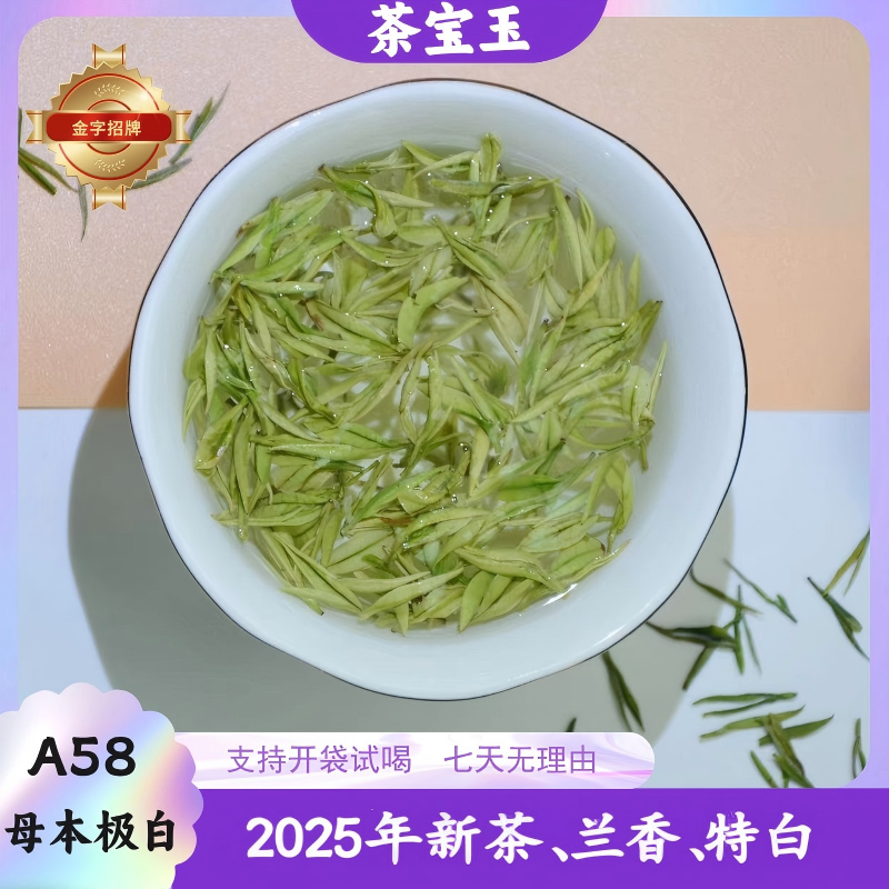 茶宝玉【A58金字招牌】安吉茶小鹏白茶2025明前头采高山白茶