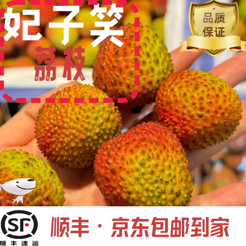 【妃子笑】5斤顺丰冷链 包邮到家 现摘现发