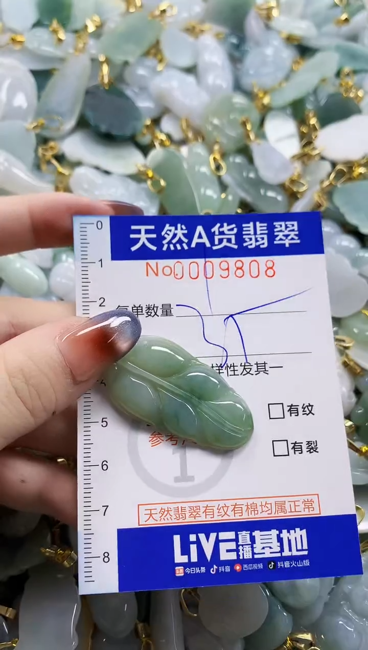 颈饰未镶嵌翡翠天然A货翡翠