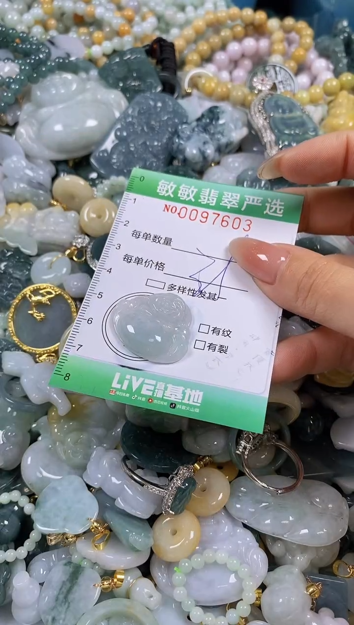 【闪购商品】翡翠颈饰未镶嵌闪购0097603