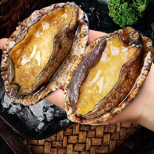 【虾教头】大号鲍鱼肉 去壳去肚 纯肉速冻红烧炖肉生鲜水产鲜活