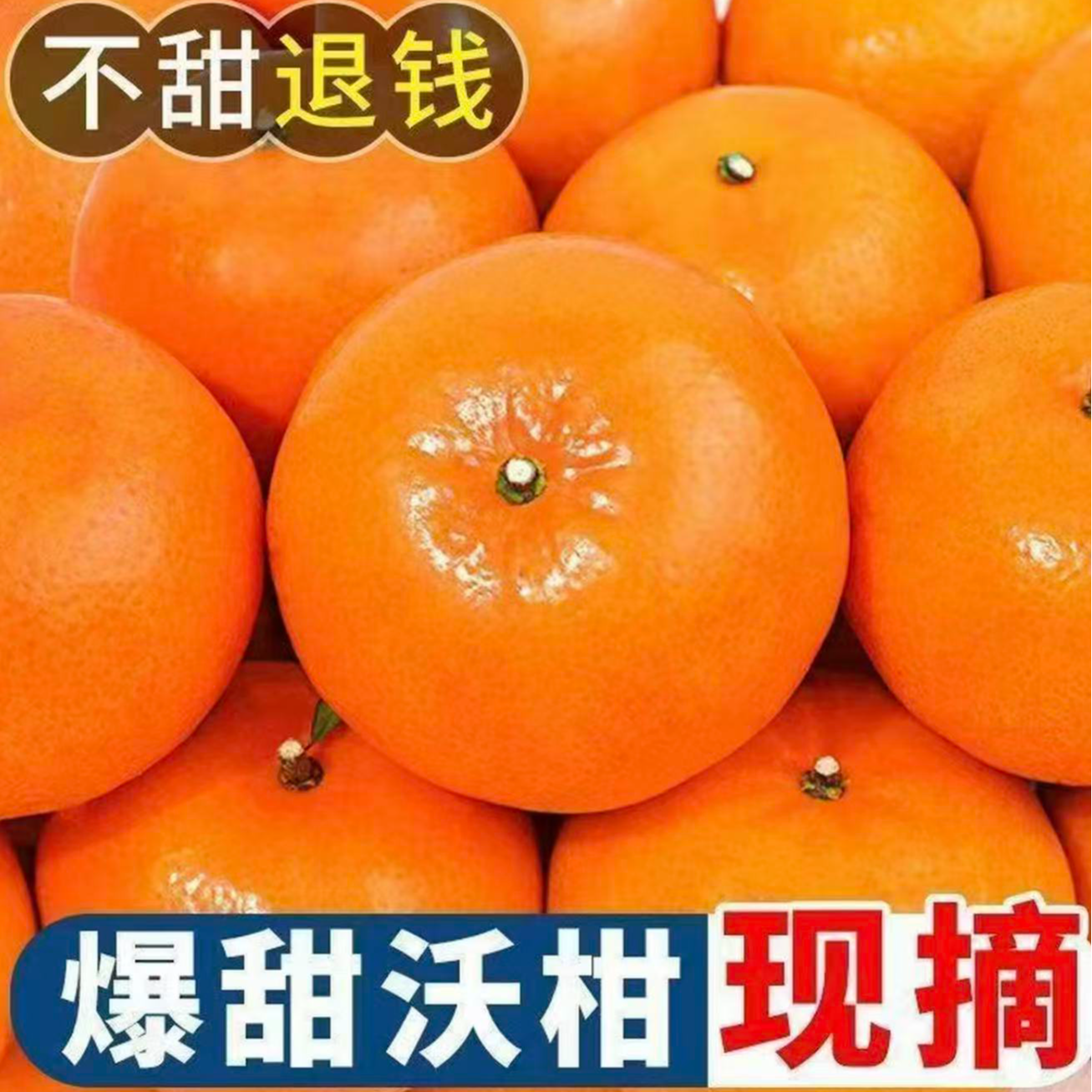 广西武鸣沃柑树上熟产地直发皮薄多汁香甜爽口柑橘应季水果包邮