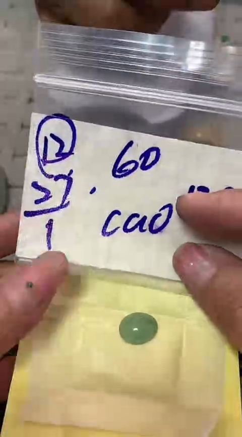 【闪购商品】定制翡翠未镶嵌46516543132