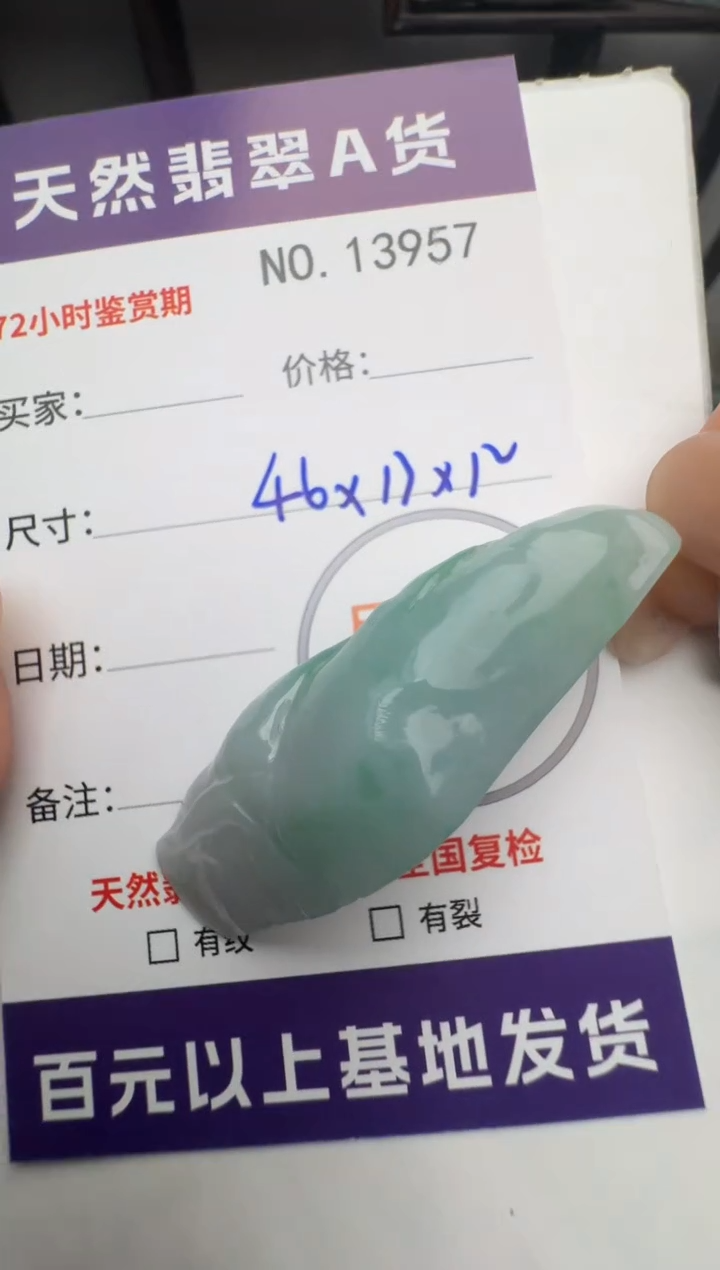 【闪购商品】翡翠颈饰未镶嵌原石13957