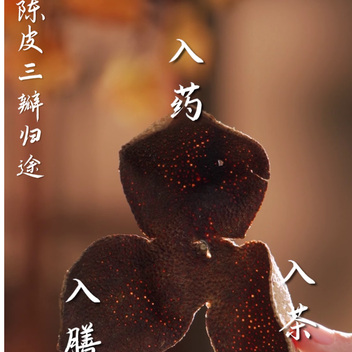 活动专场（11.14~11.16） 老皮高货链接（新会陈皮）