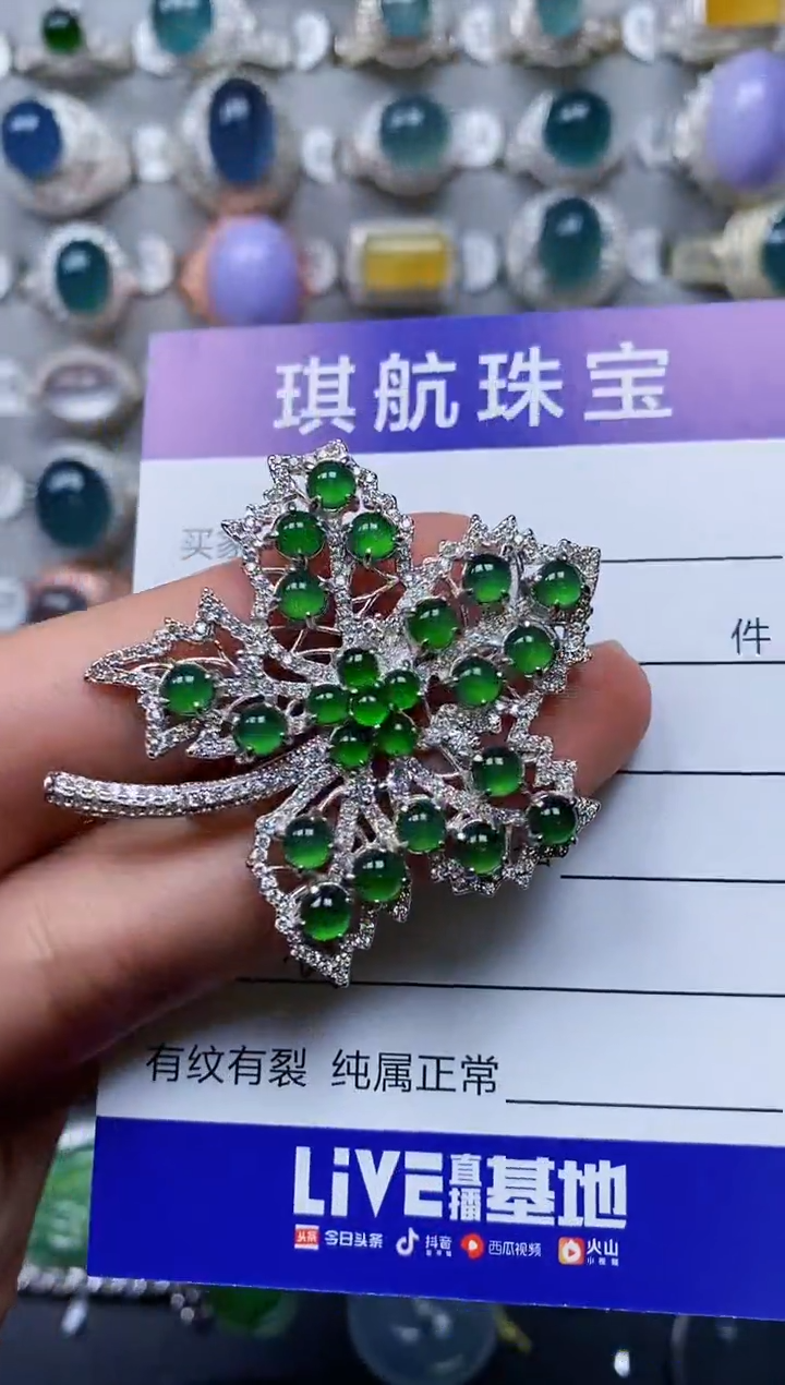 【闪购商品】翡翠颈饰银S925镶嵌0668