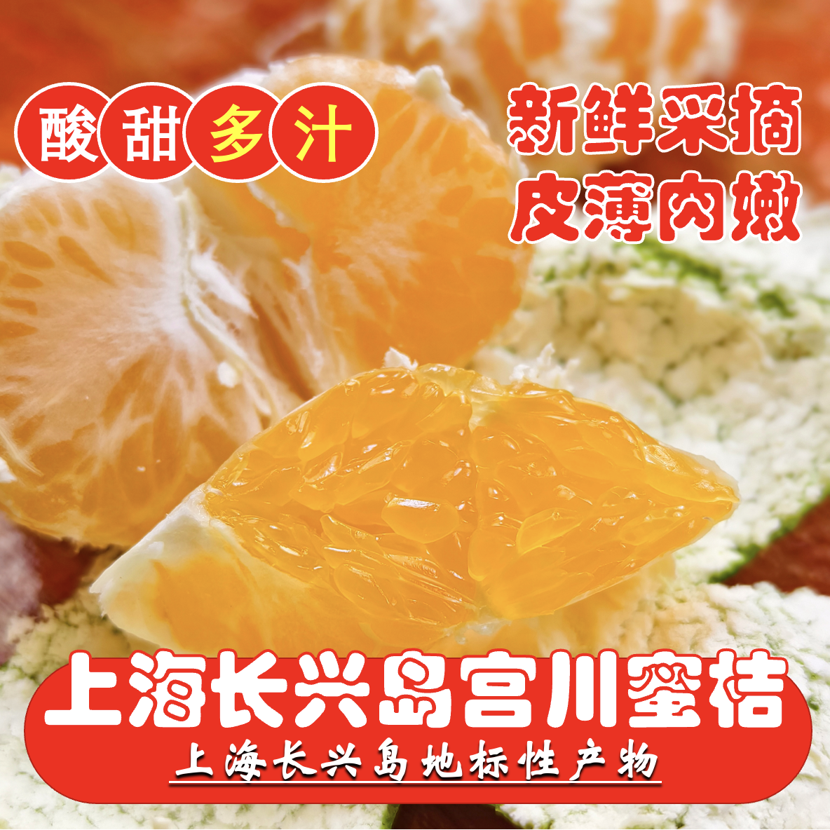 【上海长兴岛橘子】正宗上海长兴岛宫川蜜桔新鲜采摘源头发货京东顺丰包邮到家上海市