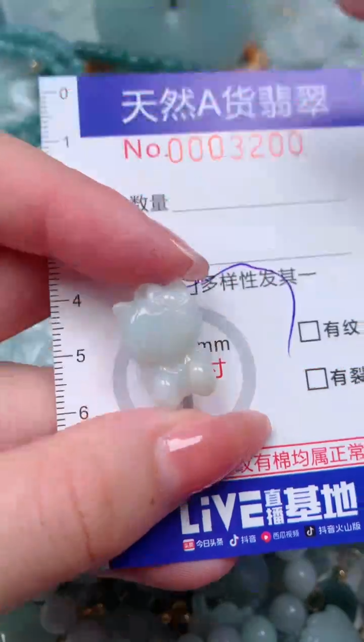 【闪购商品】翡翠颈饰未镶嵌00003200