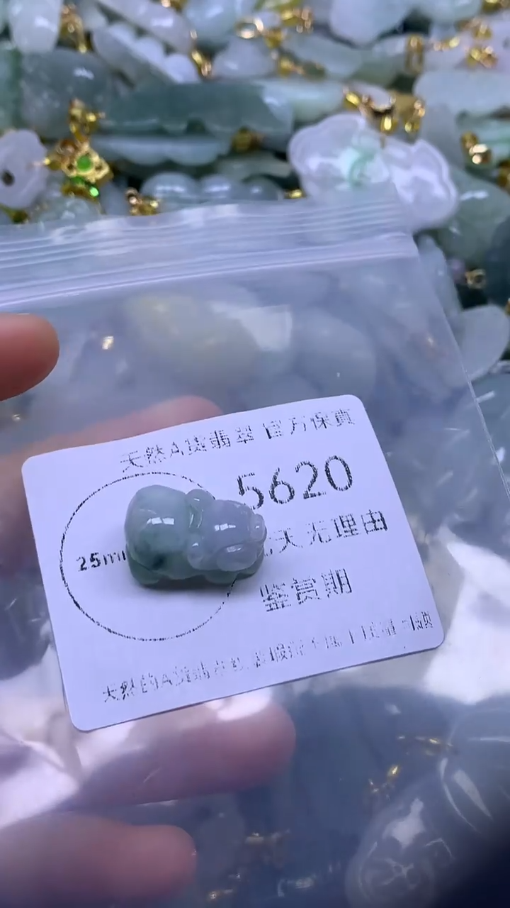 颈饰未镶嵌翡翠1