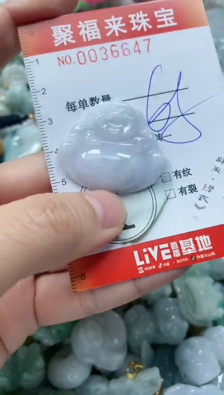 【闪购商品】翡翠颈饰未镶嵌闪购0036647