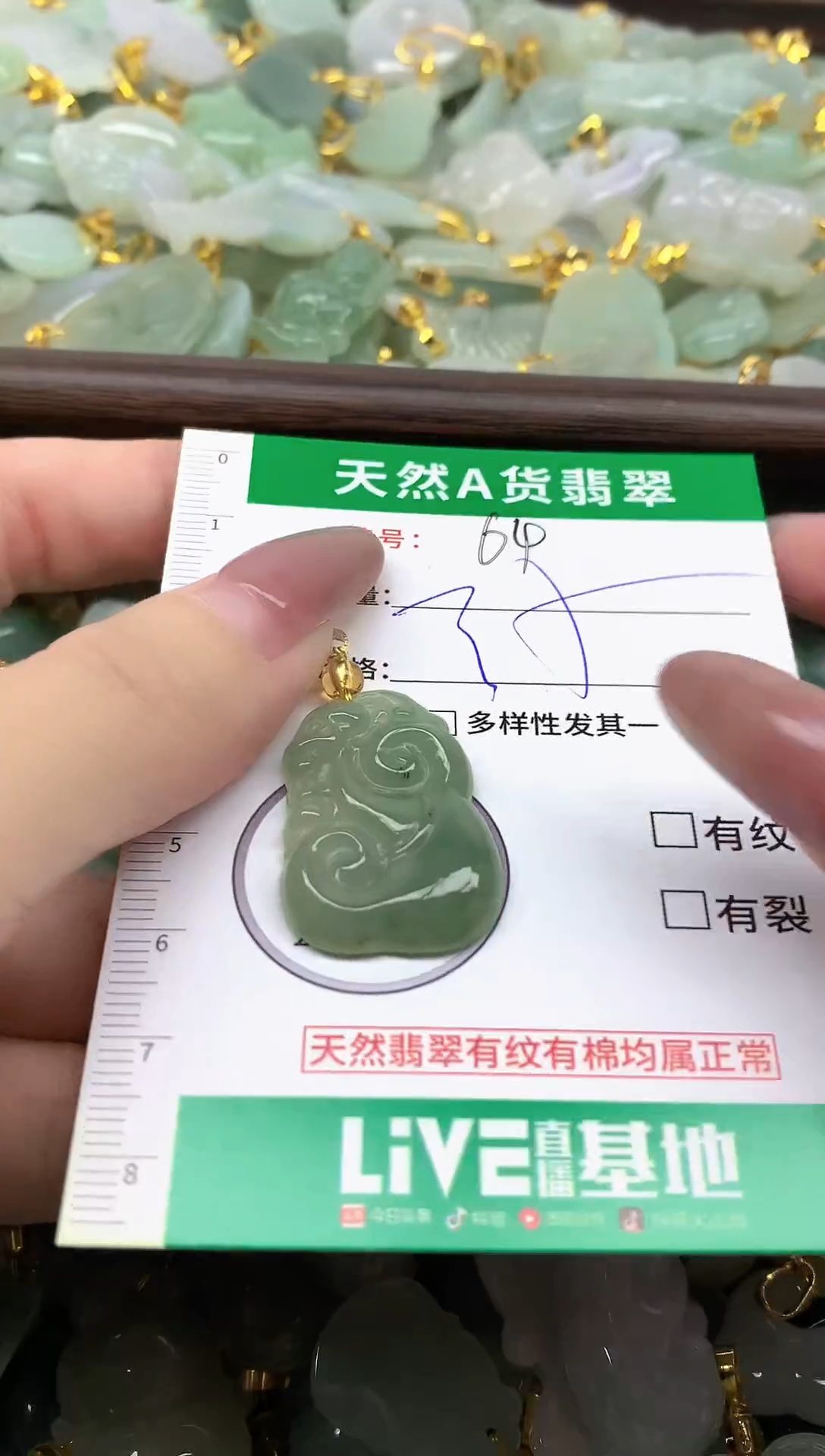 颈饰未镶嵌翡翠纯天然缅甸A货翡翠-64