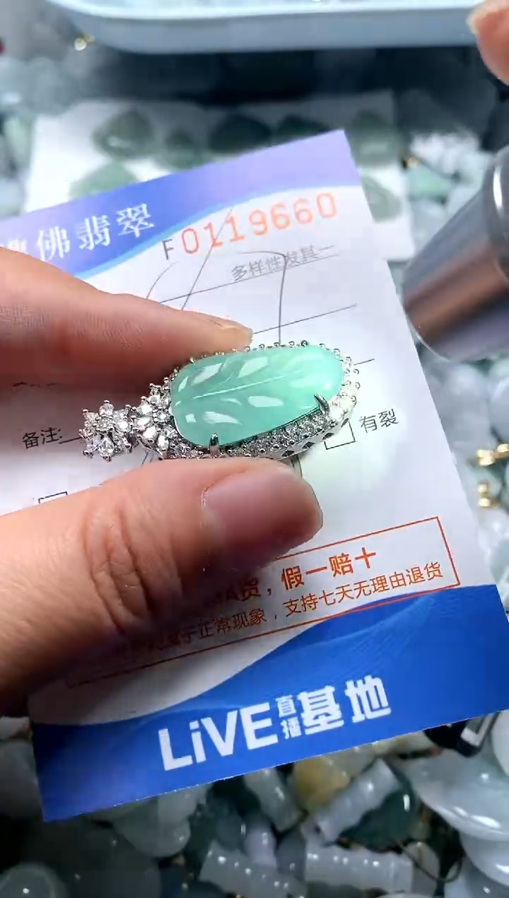 【闪购商品】翡翠颈饰未镶嵌闪购商品0119660