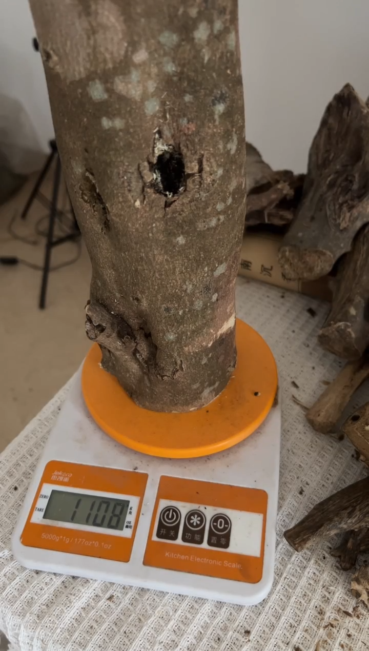 木木木老沉原木虫漏1100克