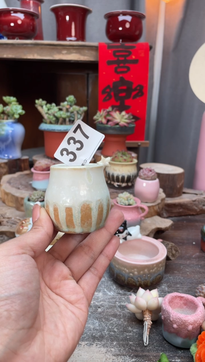 【闪购商品】摆件337知木小芳花盆编号