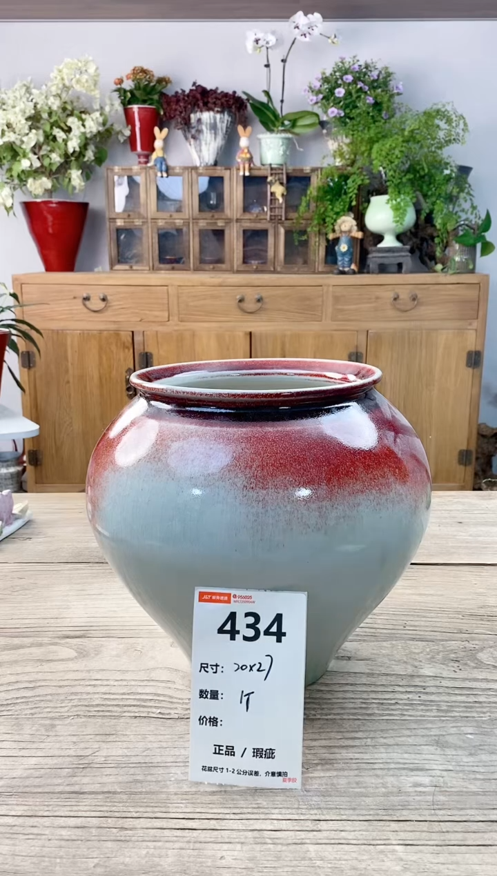 小玩子花盆直播编号434