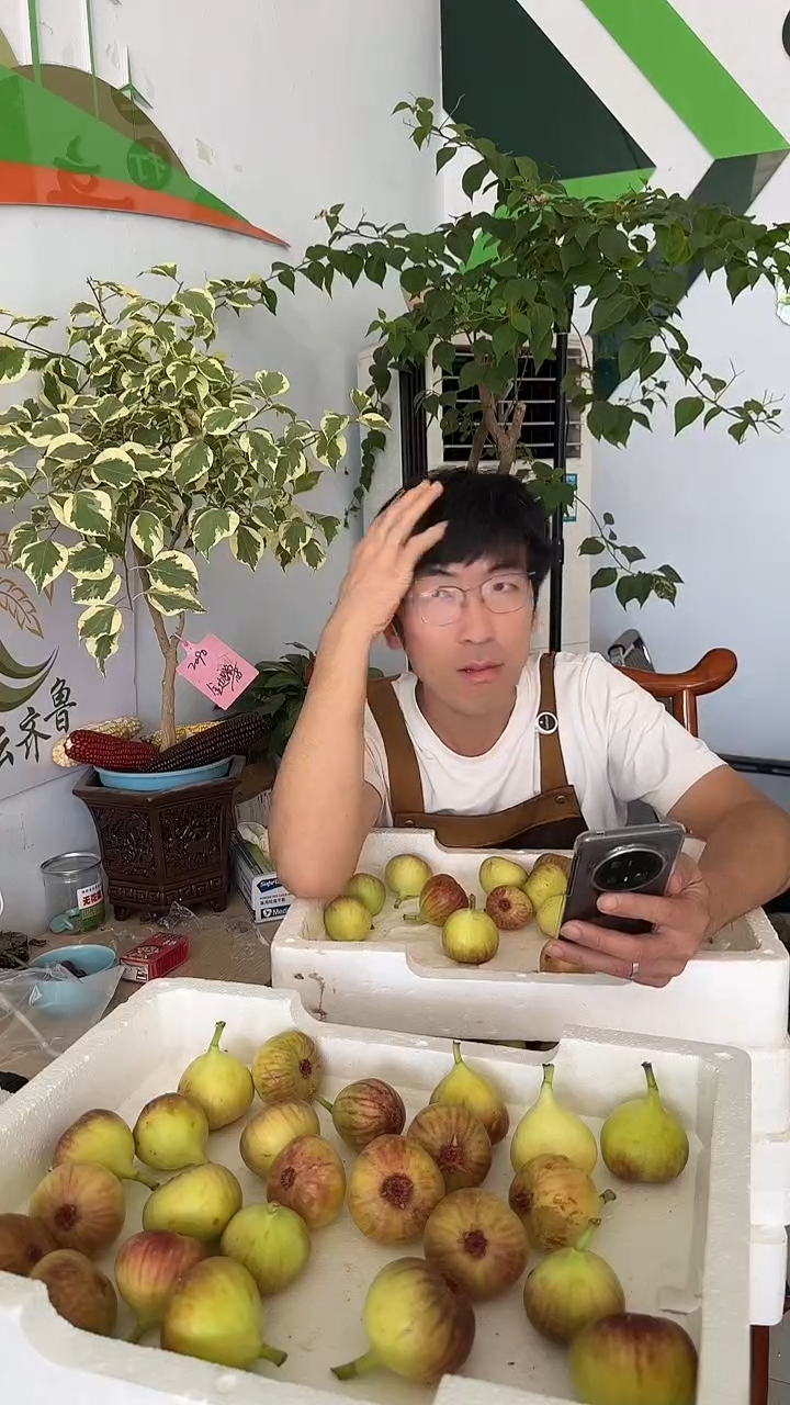 波姬红无花果7成熟煲汤果3斤
