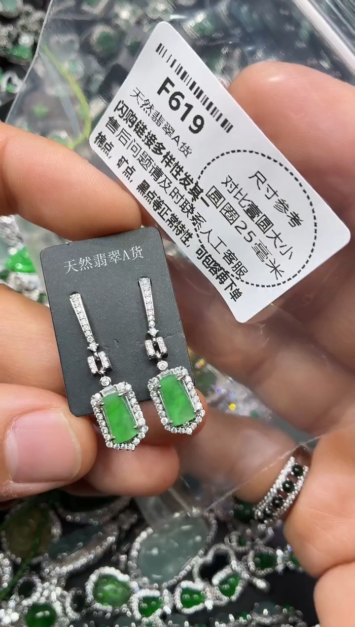 颈饰未镶嵌翡翠F619耳钉