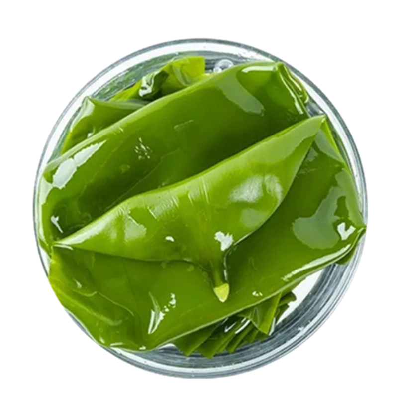 【福利】2025新海带少盐带箱5斤