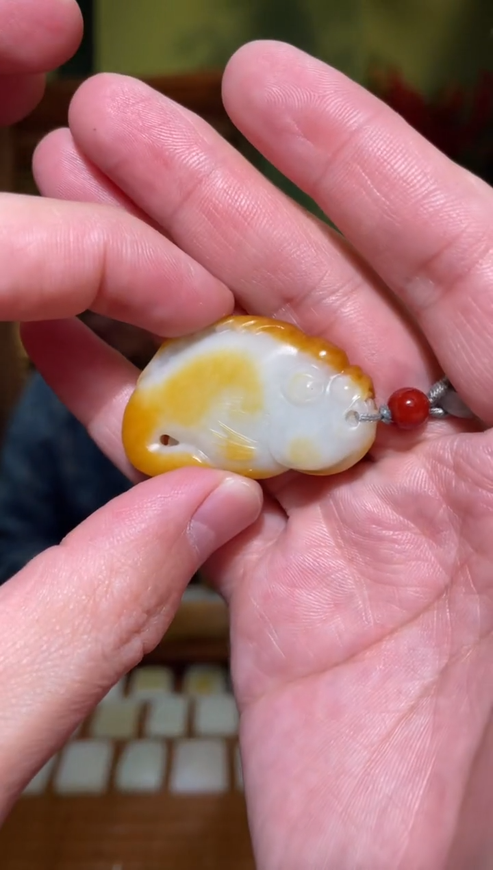 【闪购商品】和田玉吊坠(不含链)未镶嵌龙鱼20g