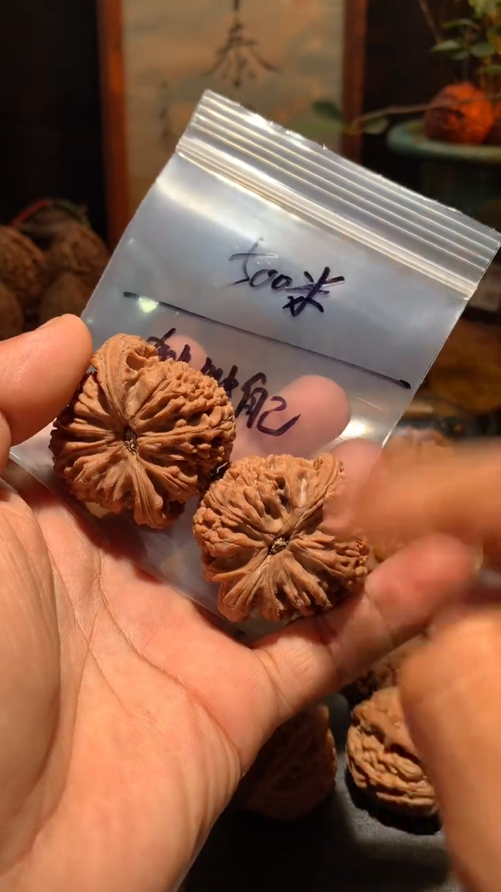 把件桃核?****?丰泰文玩  南疆石  45 尺左右