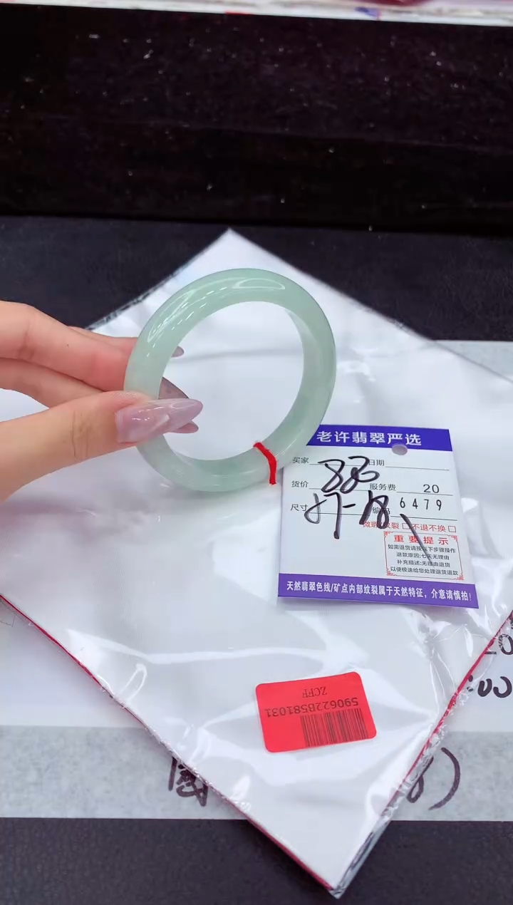 未镶嵌手镯翡翠1