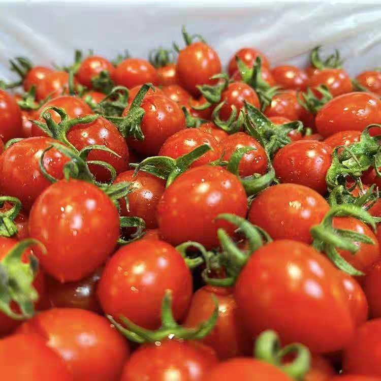 大件粉筐海南千禧圣女果1件（约6斤）千禧圣女果海南省