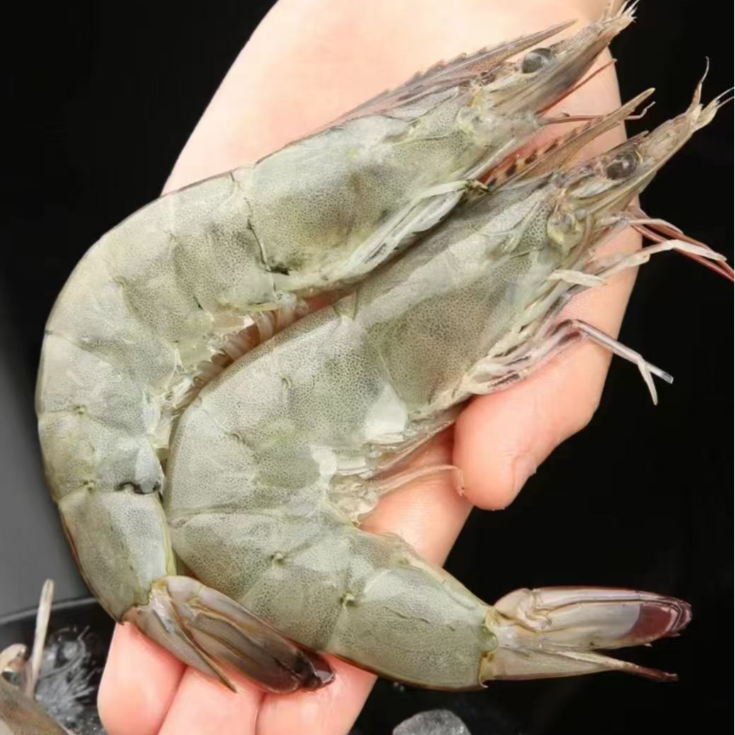 海捕大虾4大斤2030规格单只16cm-18cm左右50-60只左右顺丰包邮