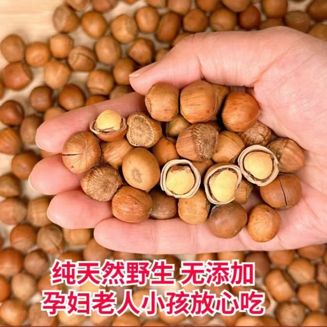 野生榛子大粒（熟）1.3以上  送钳子