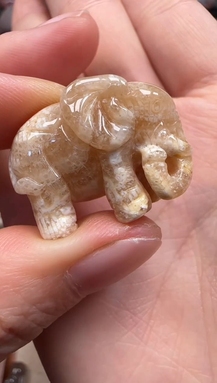 【闪购商品】硅化珊瑚（珊瑚玉）颈饰未镶嵌646