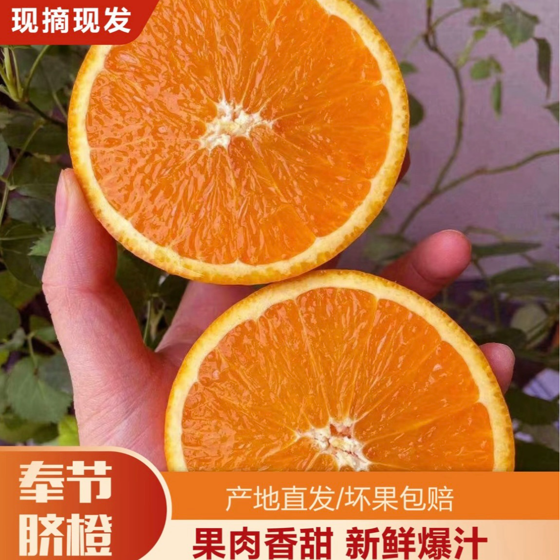 【顺丰】正宗奉节脐橙新鲜水果原产地现摘直发多汁香甜