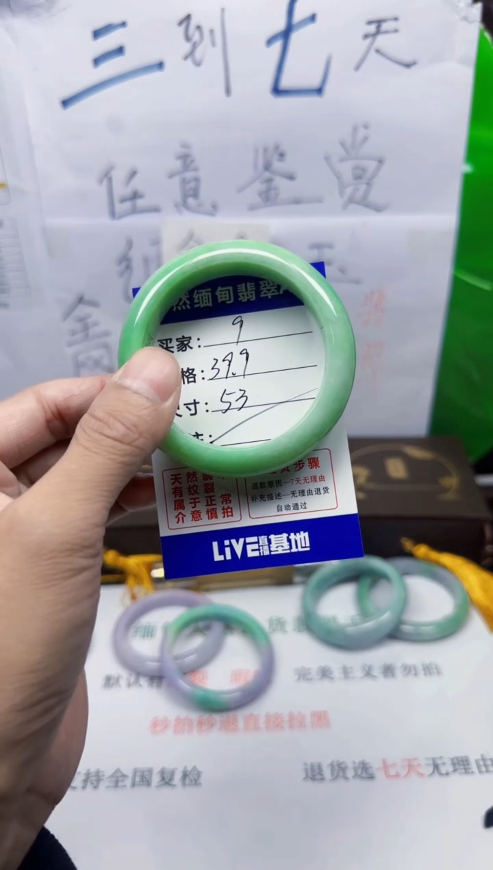 未镶嵌手镯翡翠9