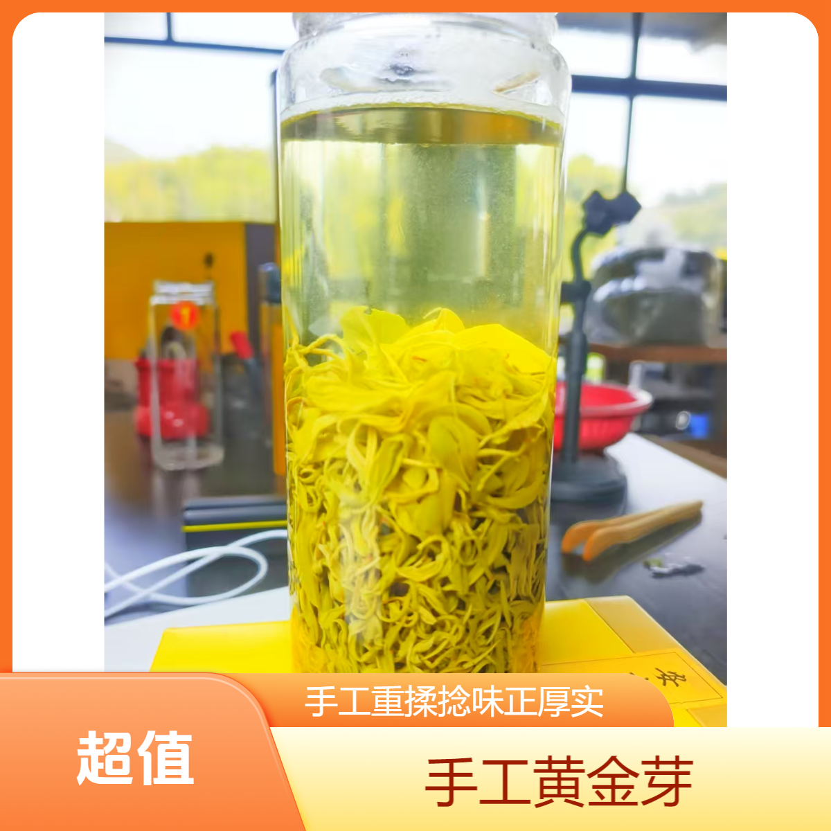 安吉手工黄金芽新茶茶叶浓香耐泡回甘醇厚 安吉核心产区