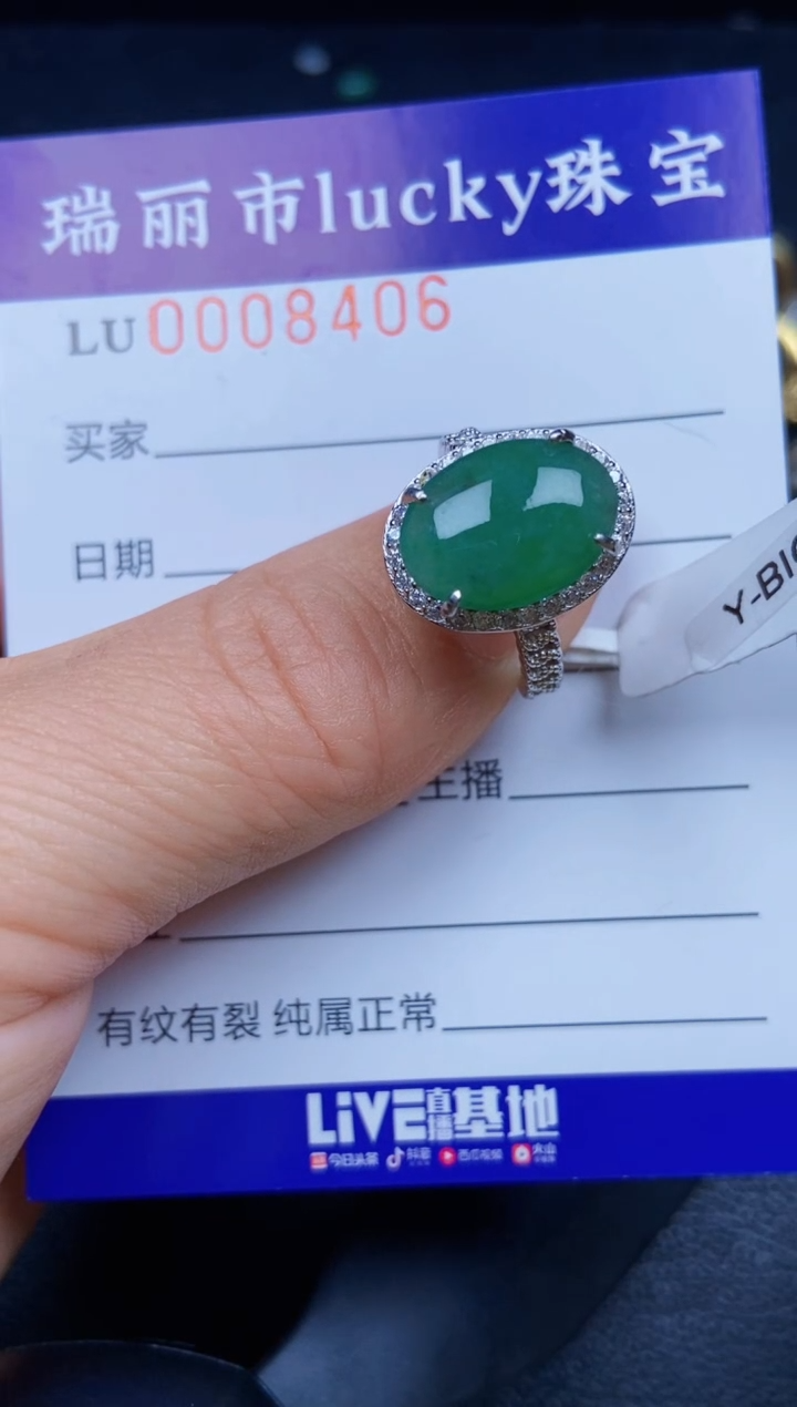 【闪购商品】翡翠颈饰银S925镶嵌8406