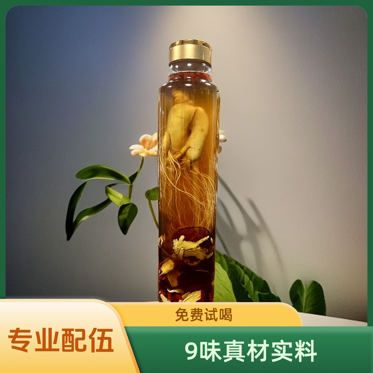 参茸泡酒料子体验版 含52纯粮高粱 真材实料