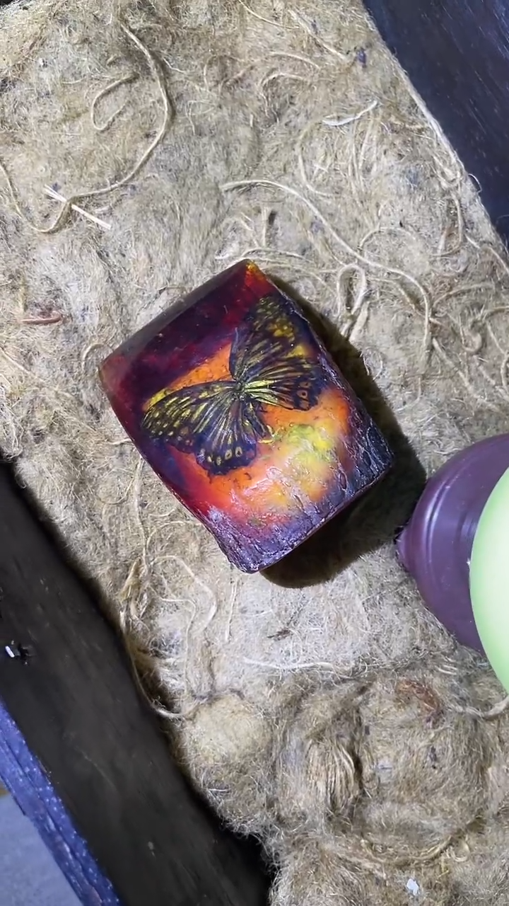 一一一一一一蝴蝶
