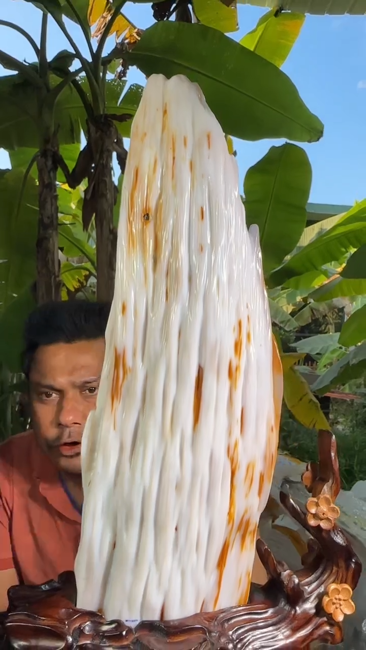 【闪购商品】硅化玉珠宝奇石未镶嵌拍一发一