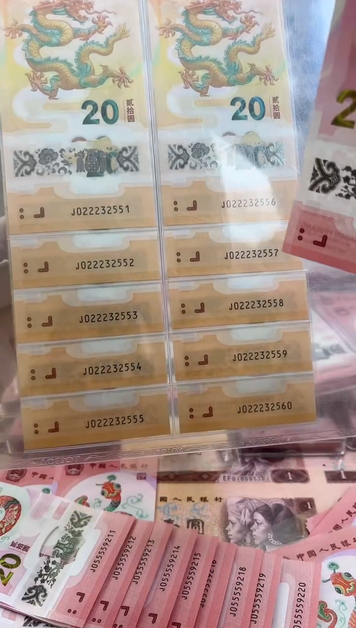 【闪购商品】塑料龙钞豹子号十连号标十551到560