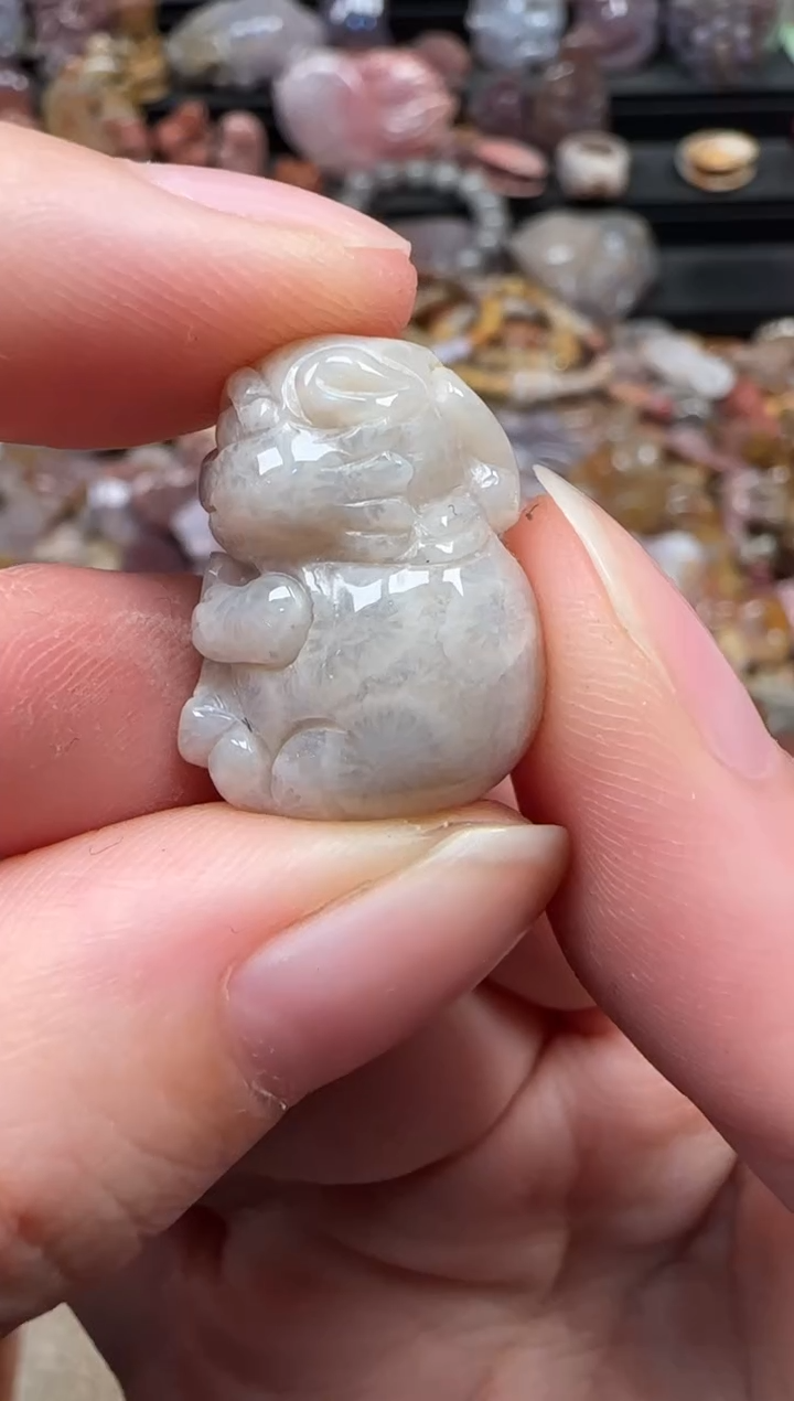 颈饰未镶嵌硅化珊瑚（珊瑚玉）501