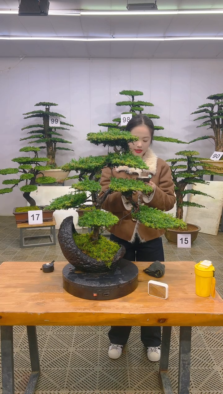 无花朵普****通一物一拍一物一拍