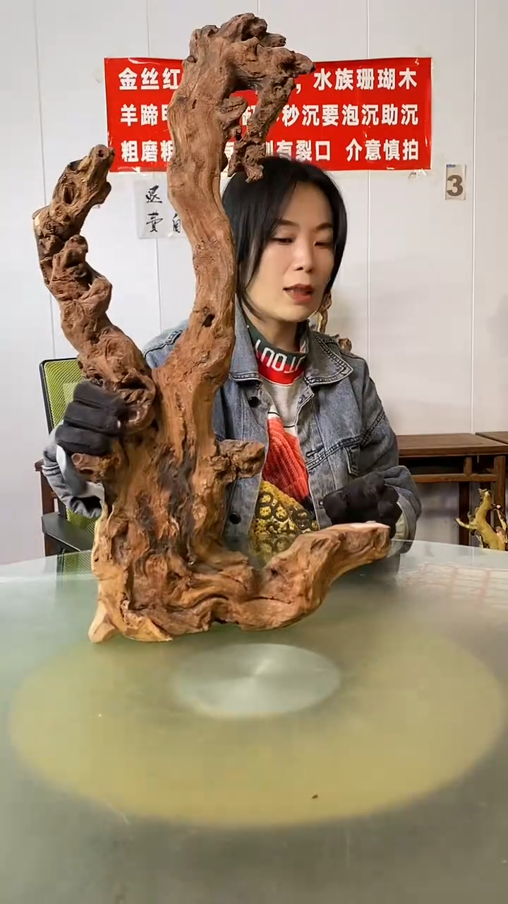 木杨***画金丝红木  羊蹄甲