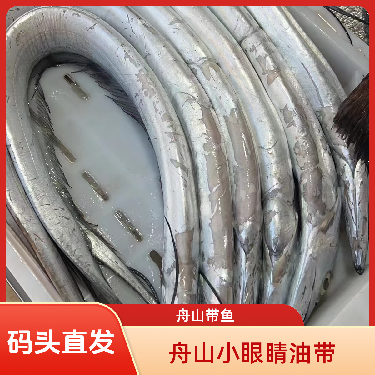顶带【10-12两】带鱼舟山新鲜整条雷达网小眼东海大带鱼冷冻