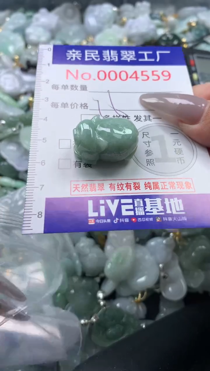 颈饰未镶嵌翡翠4559