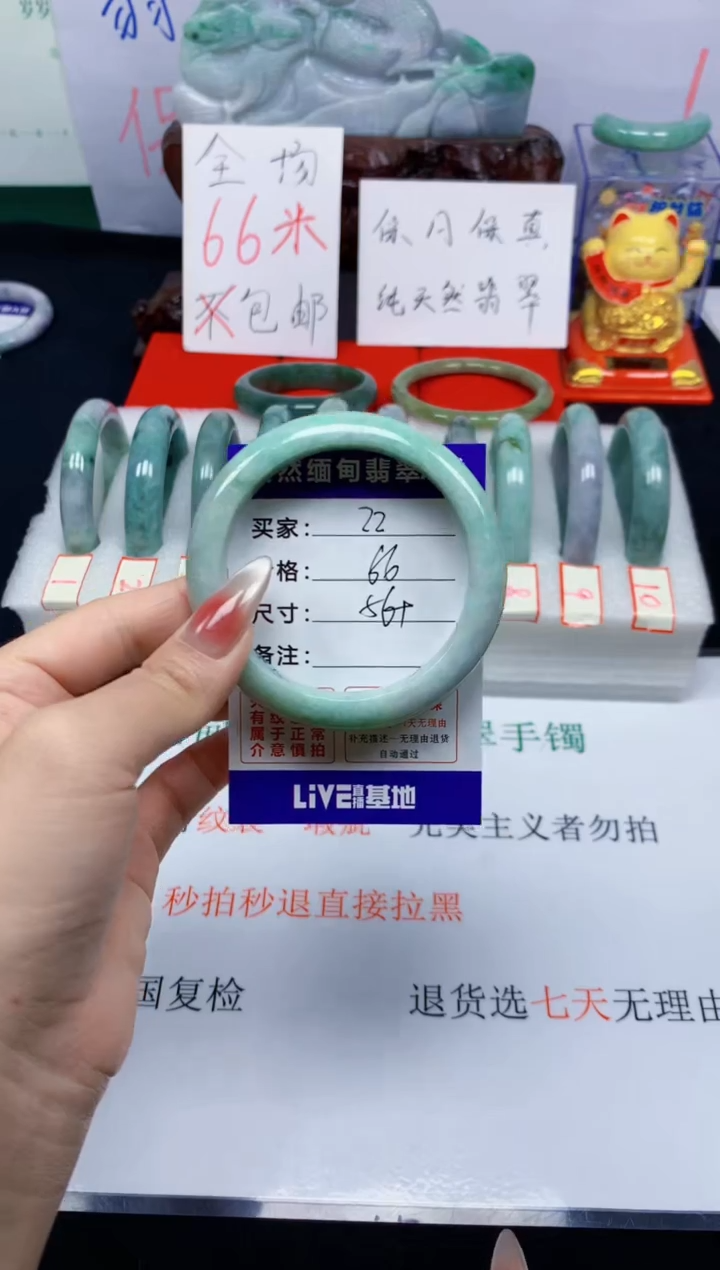 未镶嵌手镯翡翠22