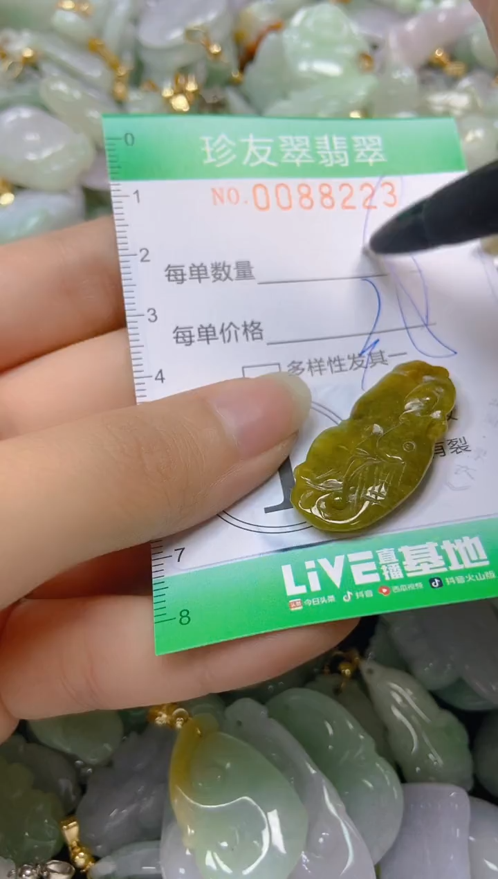 【闪购商品】翡翠颈饰未镶嵌闪购0088223