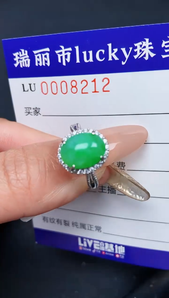 【闪购商品】翡翠颈饰银S925镶嵌8212