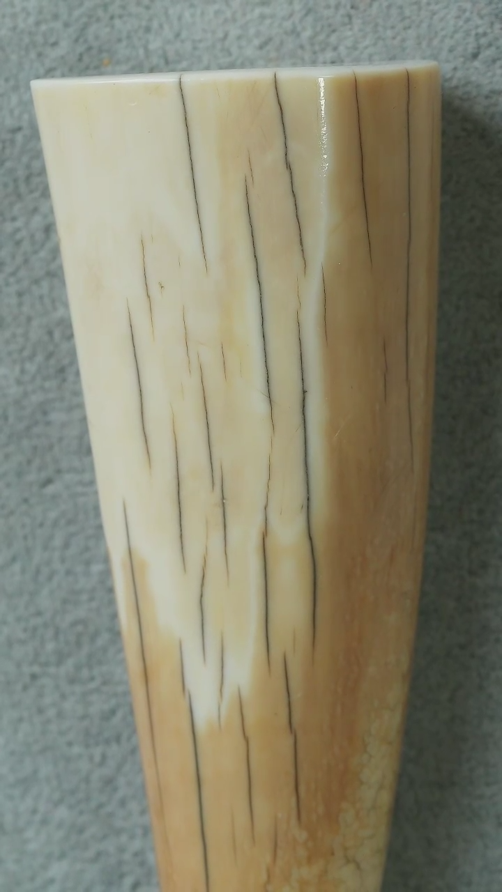 【闪购商品】橄榄核其他猛犸猛犸猛犸D22